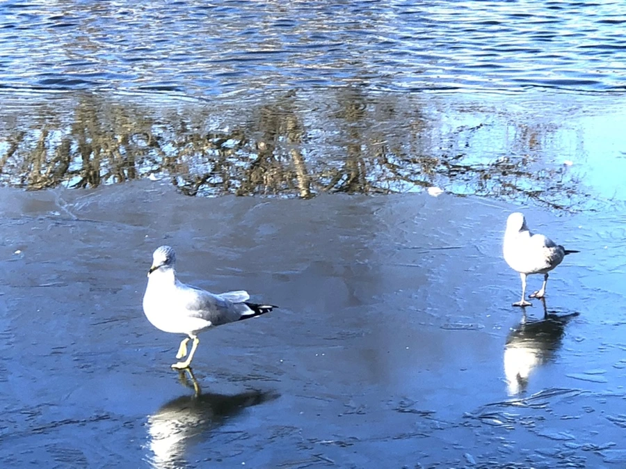 IMG_0594.jpg?type=w966