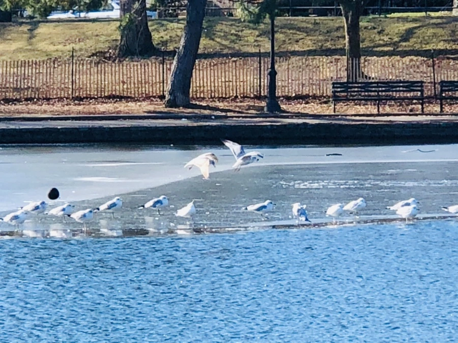 IMG_6609.jpg?type=w966