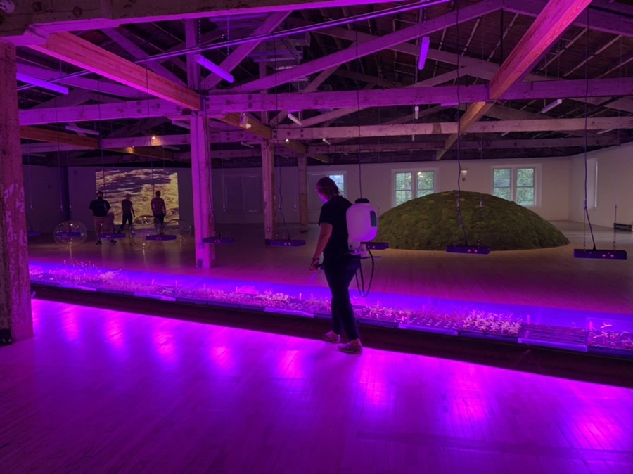 IMG_6818.jpg?type=w966