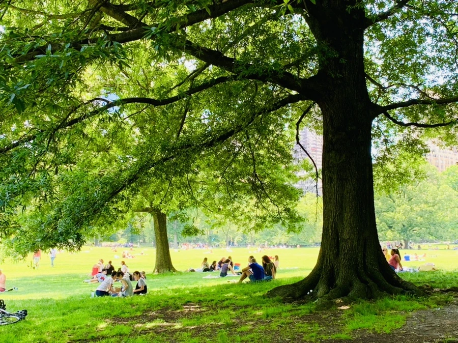 IMG_4966.jpg?type=w966