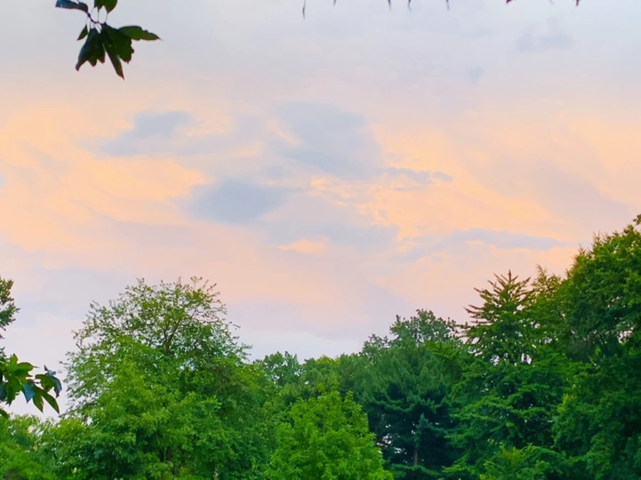 IMG_5607.jpg?type=w966