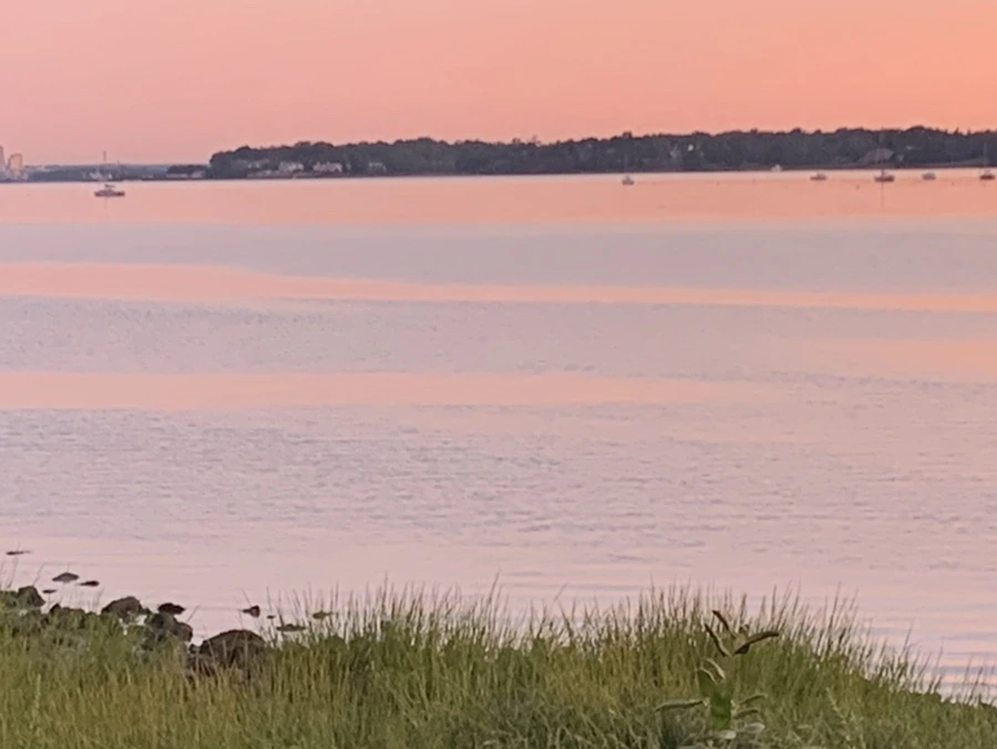 IMG_7481.jpg?type=w966