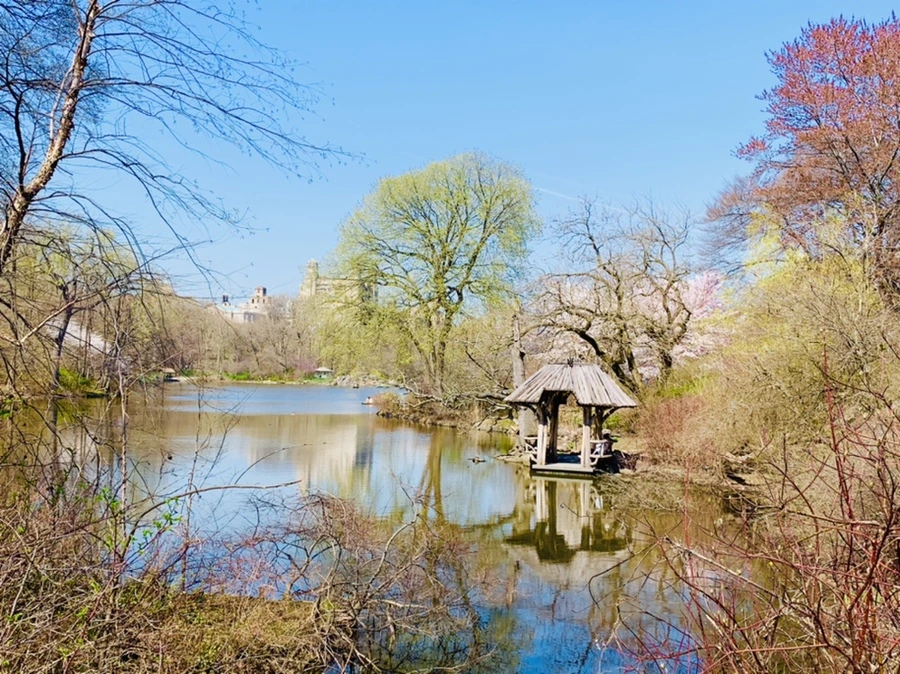 IMG_9006.jpg?type=w966