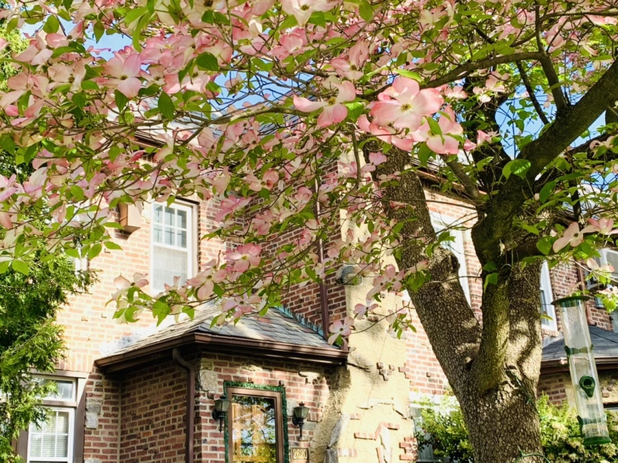 IMG_1079.jpg?type=w966