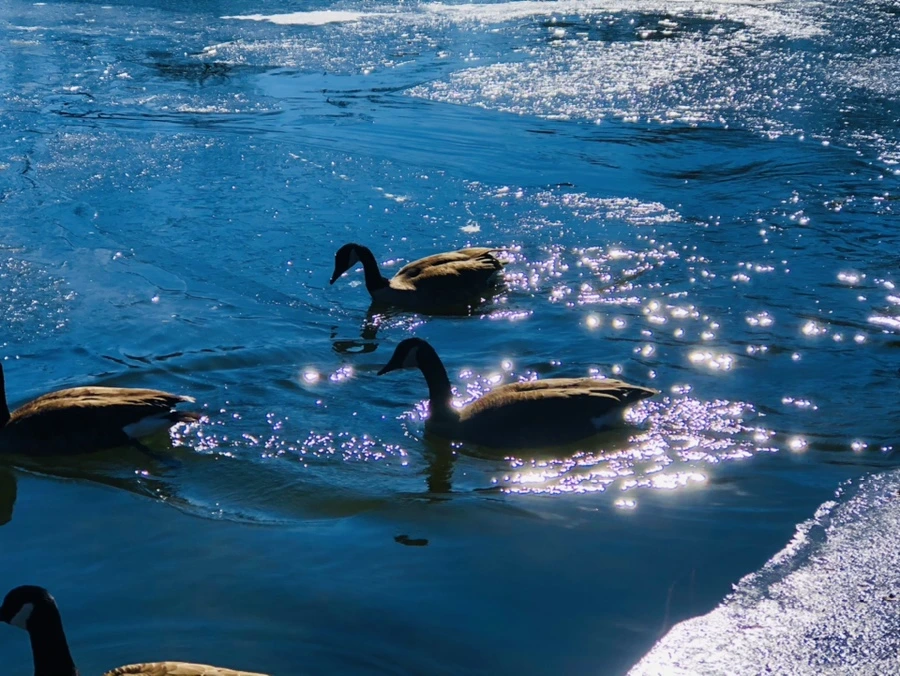 IMG_7757.jpg?type=w966