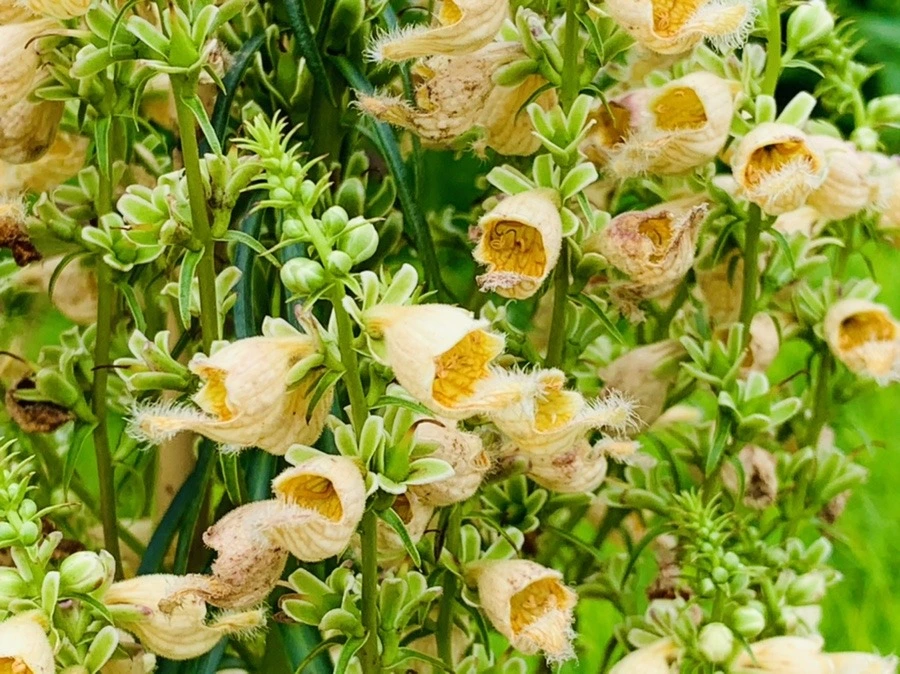 IkufQxQVFioYk0Yg0VhZaT3P8lk