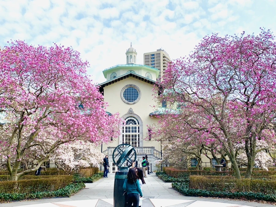 IMG_7242.jpg?type=w966