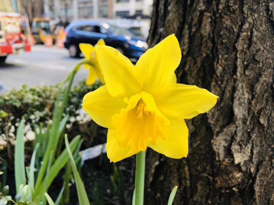 IMG_5957.jpg?type=w966