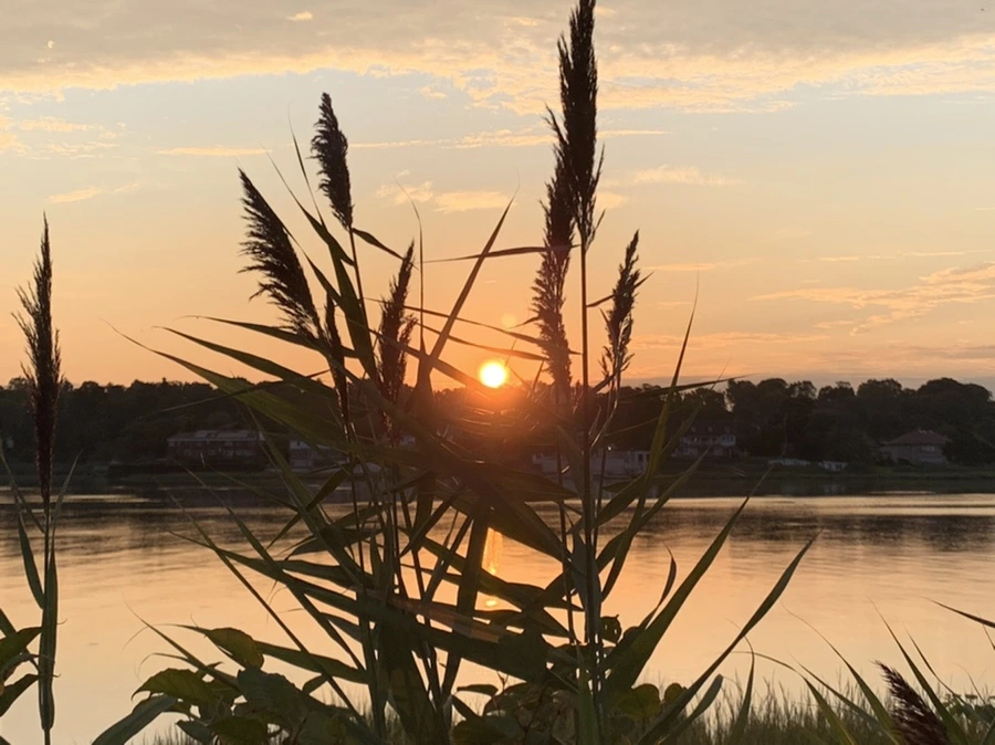 IMG_1278.jpg?type=w966