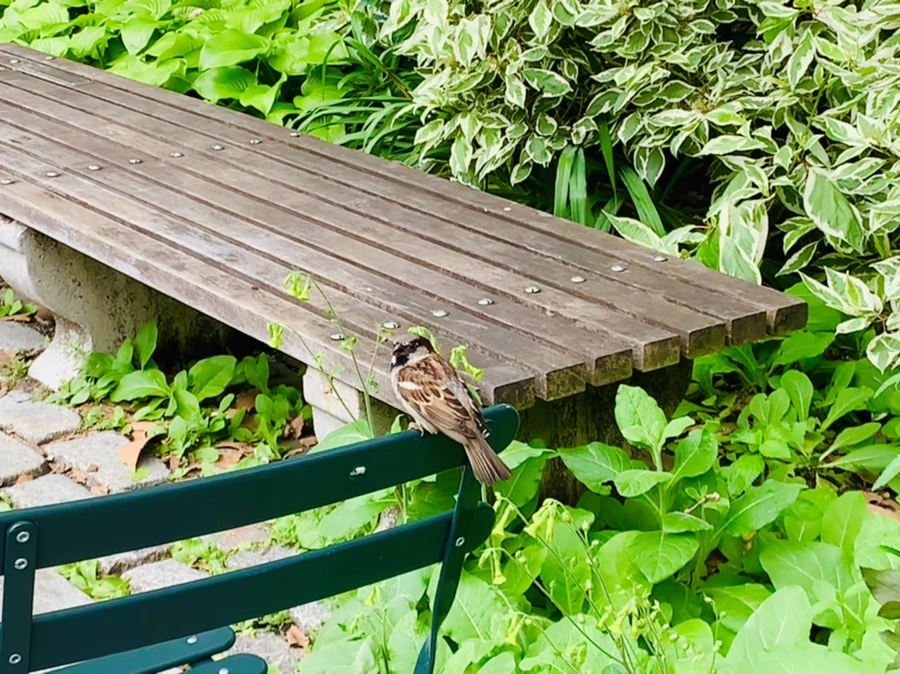 IMG_4988.jpg?type=w966