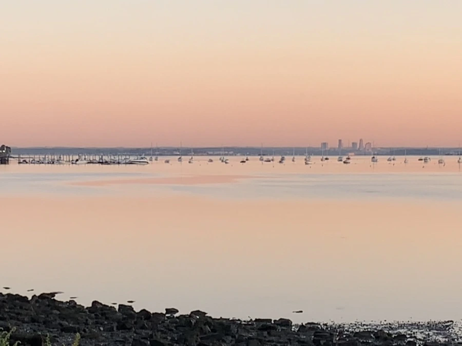 IMG_8552.jpg?type=w966