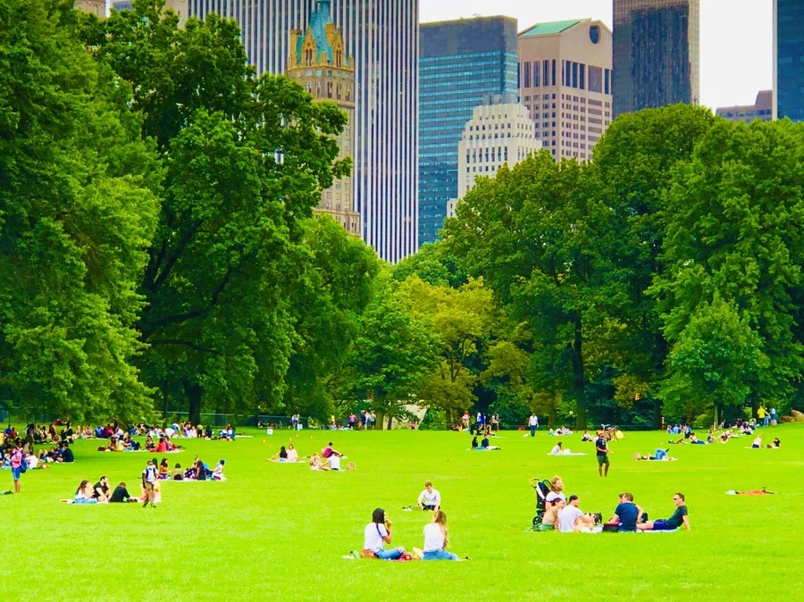 IMG_0061.jpg?type=w966