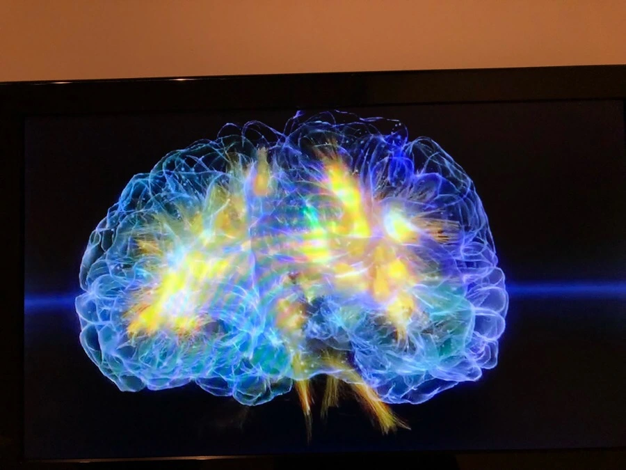 IMG_3321.jpg?type=w966