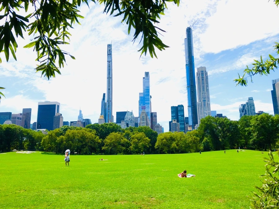 IMG_9051.jpg?type=w966