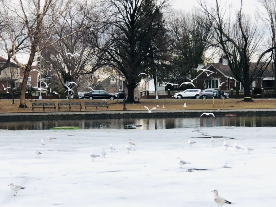 IMG_6293.jpg?type=w966