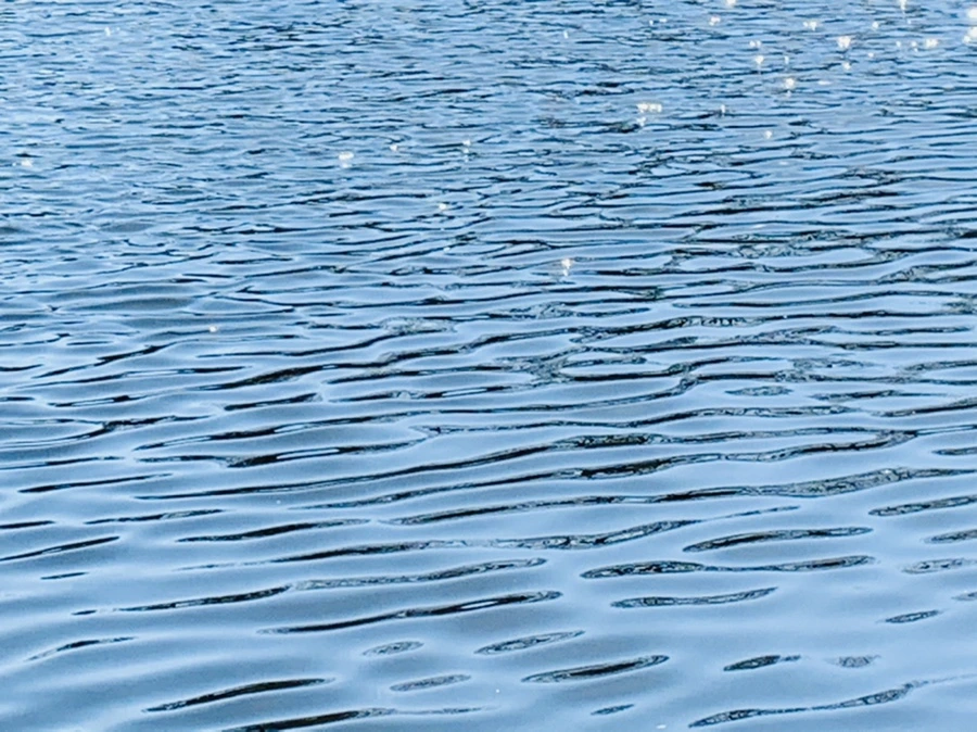 IMG_0033.jpg?type=w966