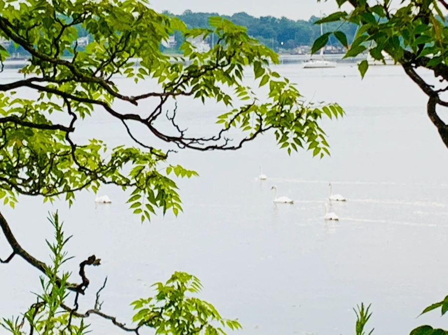 IMG_6424.jpg?type=w966