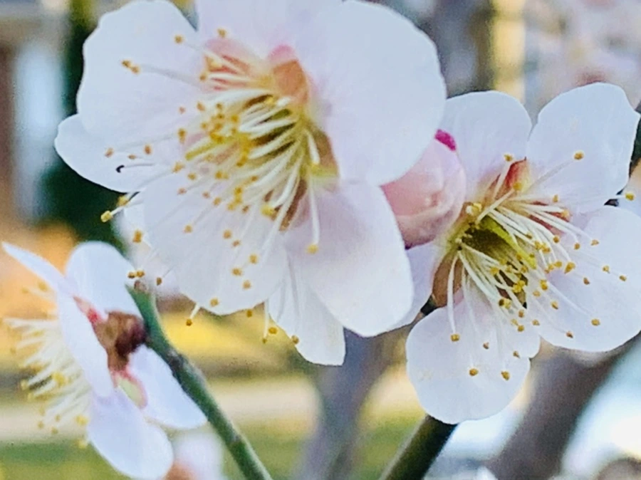 IMG_0790.jpg?type=w966