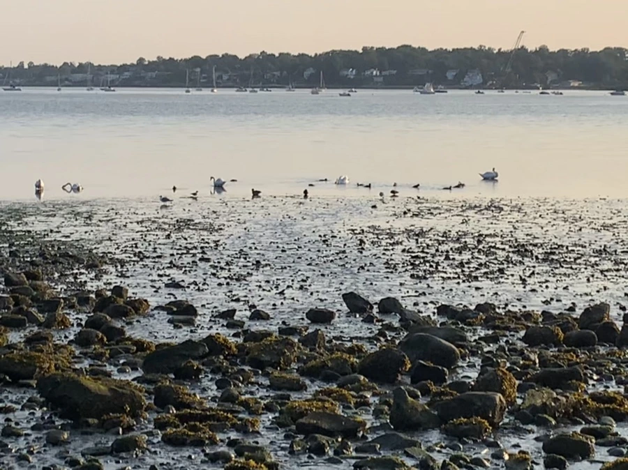 IMG_9788.jpg?type=w966