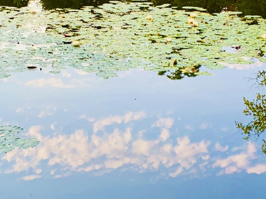 IMG_0751.jpg?type=w966