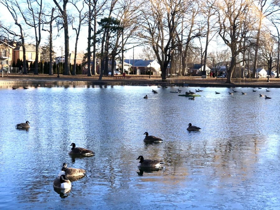 IMG_1396.jpg?type=w966