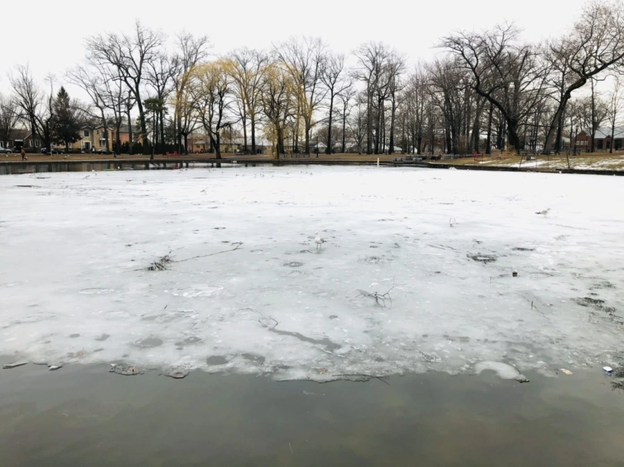 IMG_6232.jpg?type=w966