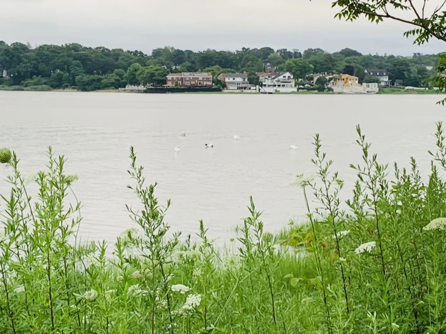 IMG_7110.jpg?type=w966