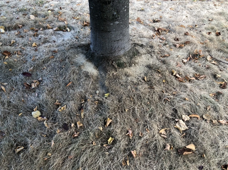 IMG_0841.jpg?type=w966