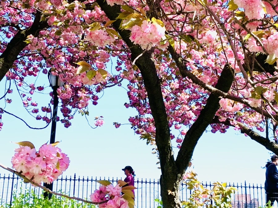 IMG_5857.jpg?type=w966