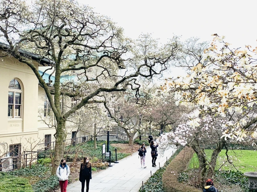 IMG_7128.jpg?type=w966