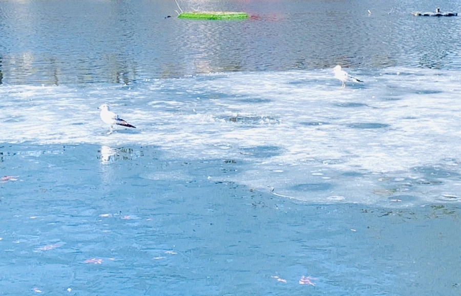 IMG_6960.jpg?type=w966