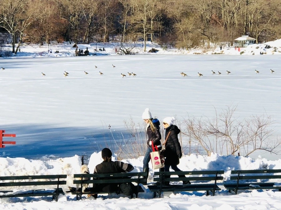 ElrcDxU2TpJTWlLtof6zqtHQn9E