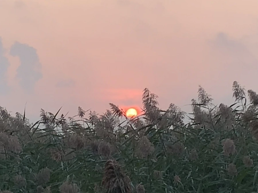 IMG_1086.jpg?type=w966