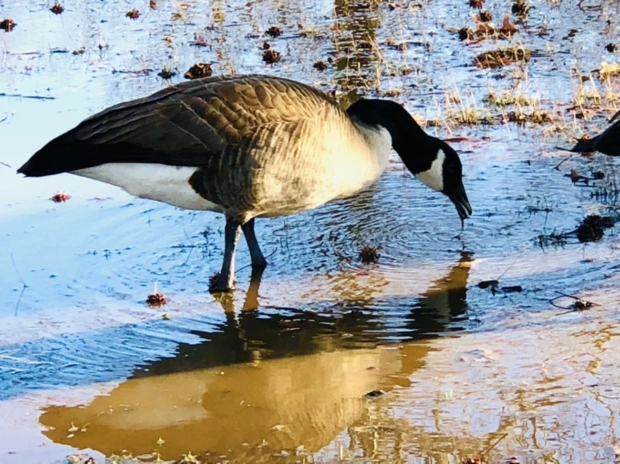 tAnsItdq8NUPtP2ZHZPeiULoj-U