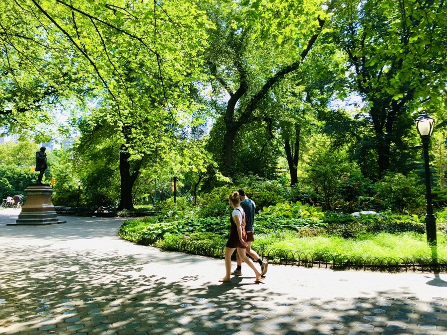 IMG_8082.jpg?type=w966