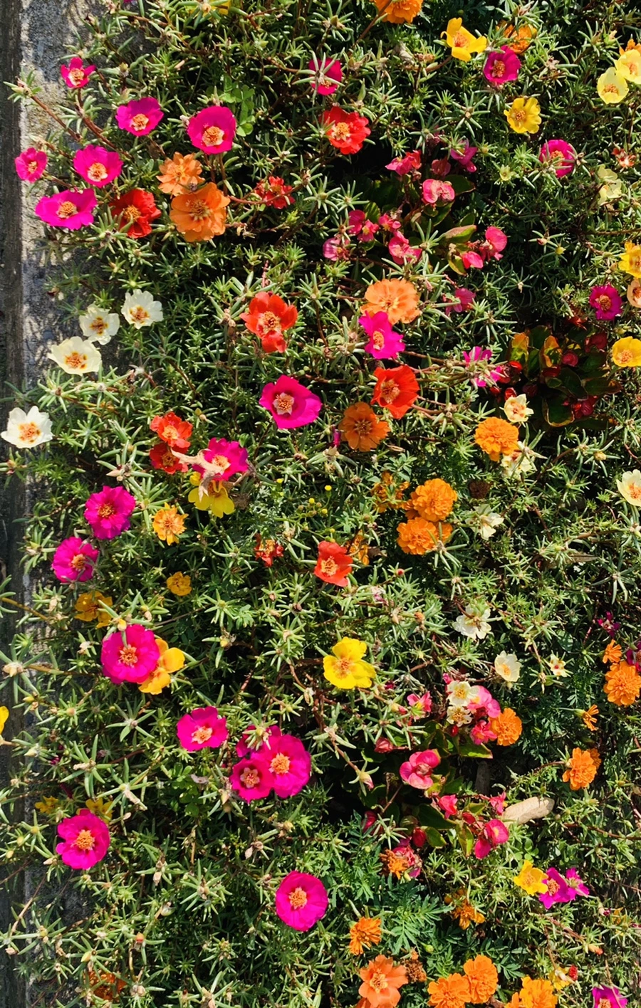 IMG_6635.jpg?type=w966