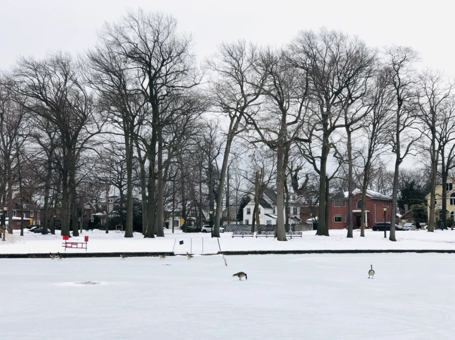 IMG_4418.jpg?type=w966