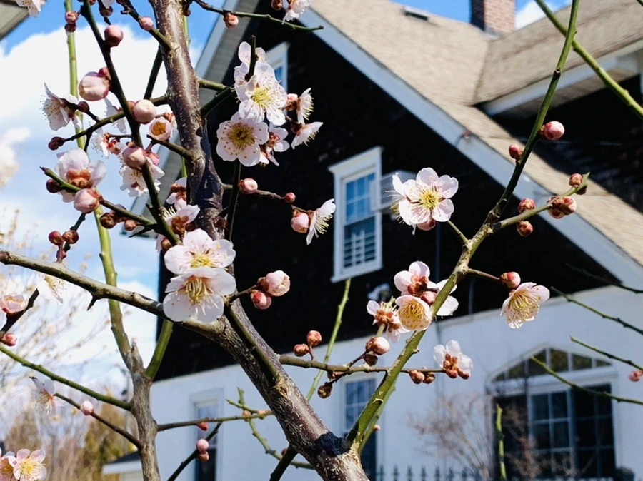 IMG_0979.jpg?type=w966