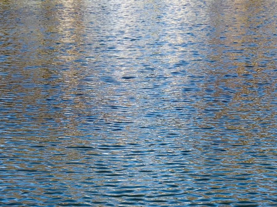 IMG_4051.jpg?type=w966