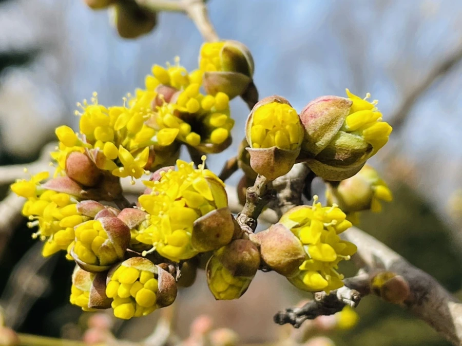 IMG_4160.jpg?type=w966