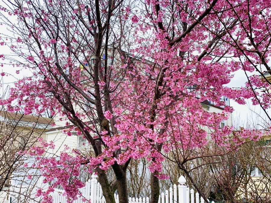 IMG_5901.jpg?type=w966