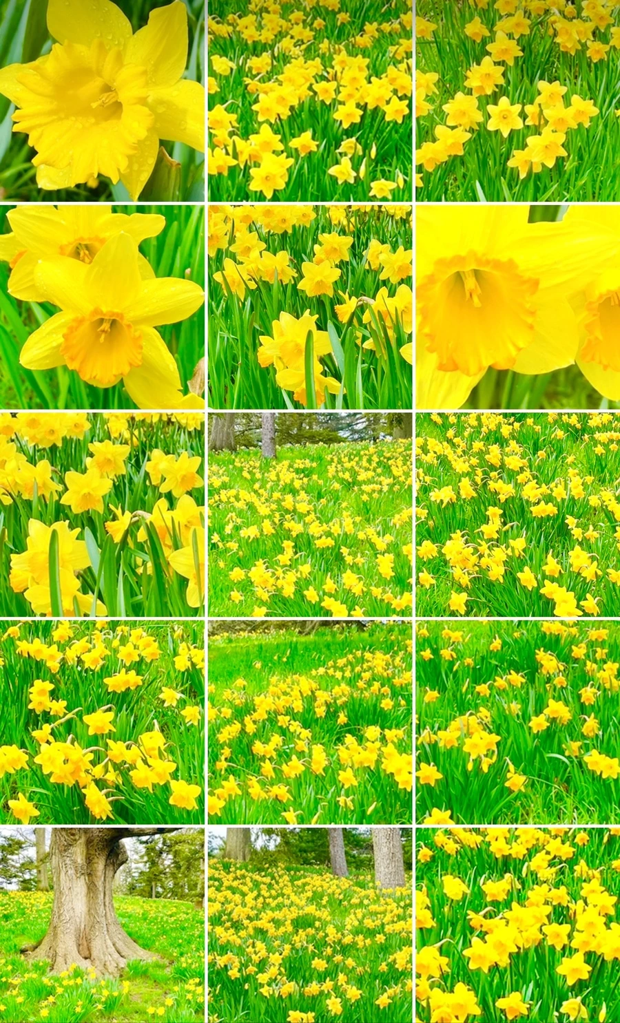 IMG_7668.jpg?type=w966