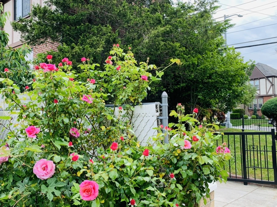 IMG_4873.jpg?type=w966