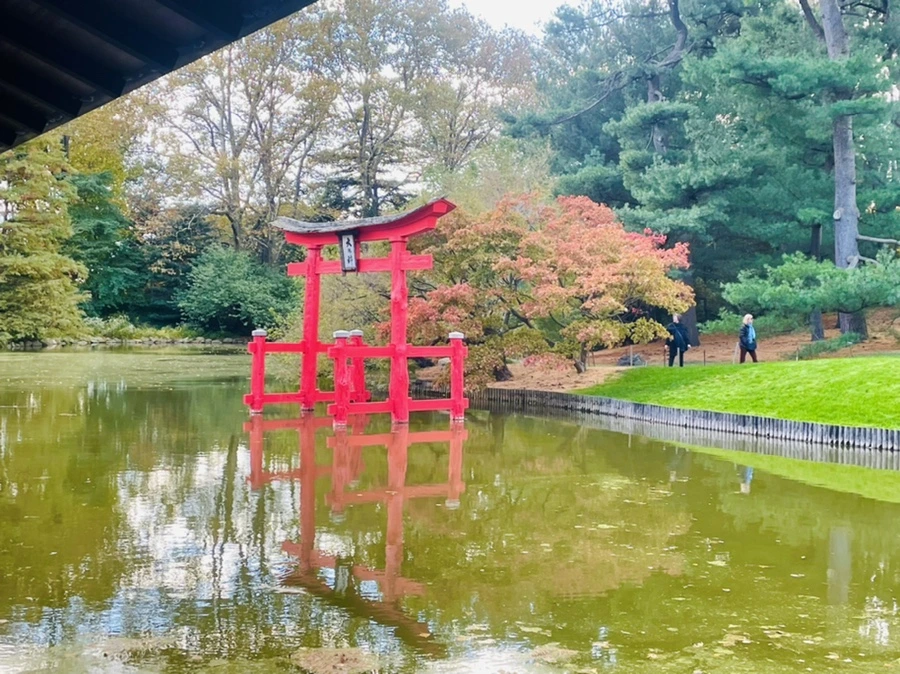 IMG_0171.jpg?type=w966