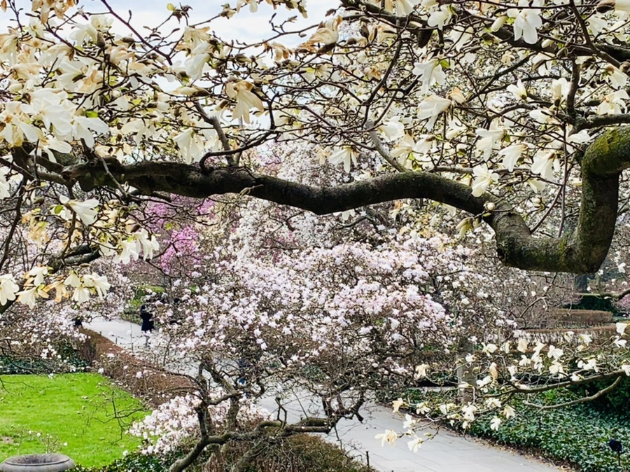 IMG_7131.jpg?type=w966