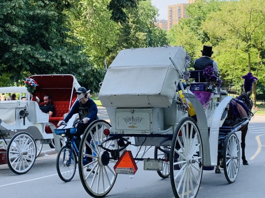 IMG_4991.jpg?type=w966