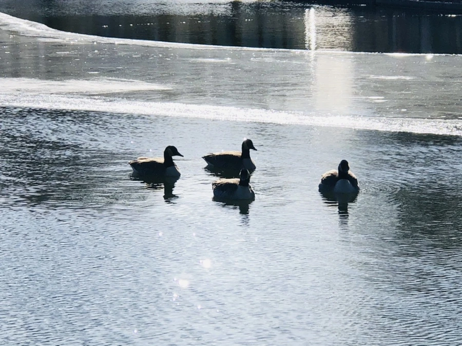 IMG_5523.jpg?type=w966