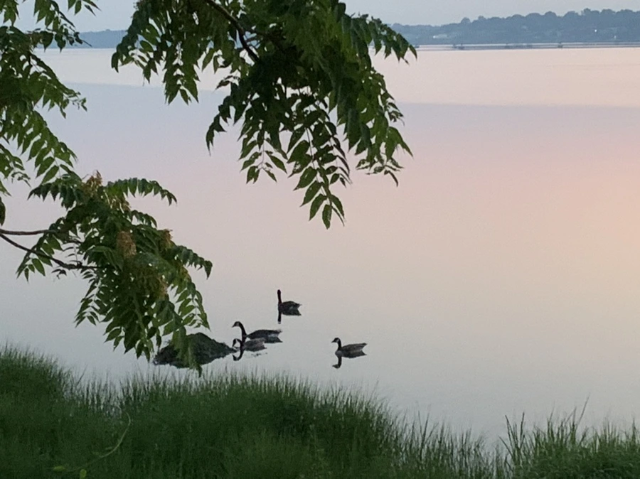 IMG_1847.jpg?type=w966