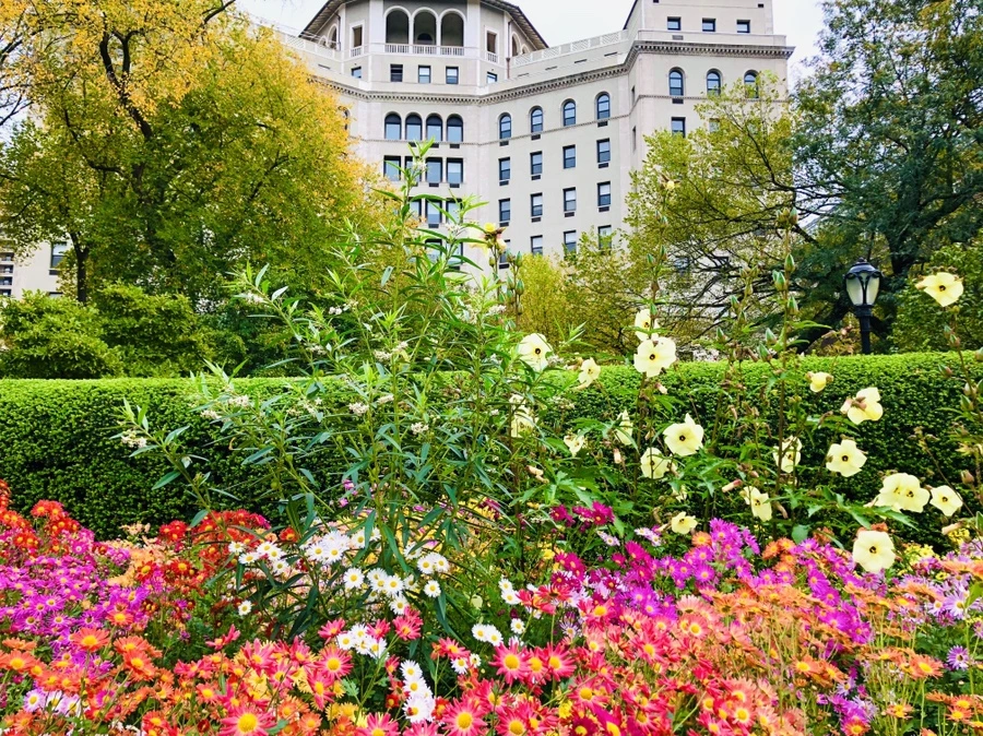 IMG_2500.jpg?type=w966