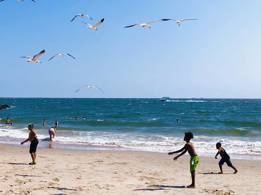 IMG_7252.jpg?type=w966